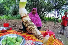 印度恒河“变异”芋头，一米多长二三十斤重，一个就能喂饱一家人图片