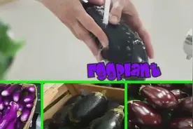 趣味早教：茄子 青椒 英语单词学习视频封面