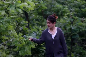 30岁女子隐居千年古刹，种菜煮粥诵经林间漫步，隐居原因有点心酸图片