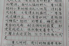 作文格子书写，应像这位同学学习方法图片