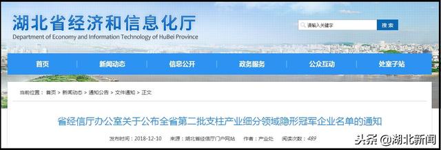 湖北第二批支柱产业细分领域隐形冠军企业名单出炉