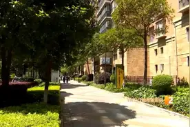 多只宠物在小区车库溜达后身亡，业主怀疑有人下毒图片