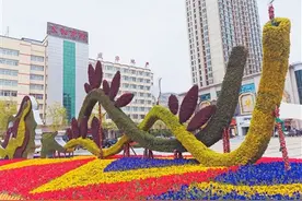 绚丽花街景点北区美出新高度图片