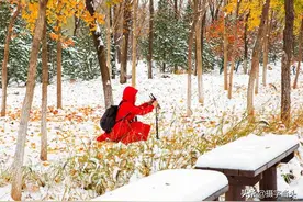 冬日初雪印象：一半冬雪，一半秋叶图片