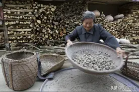 草木灰在农村不仅是养猪户眼中一宝，实际用处很多，你知道多少？图片