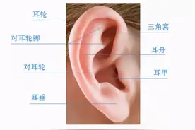 新生儿耳廓畸形，宝爸宝妈们常常忽视而错过了最佳治疗时间图片