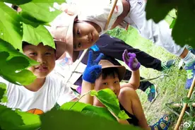 2020荒野求生夏令营图片