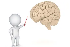 人未老，脑先呆——面对脑力衰退我们能做些什么？图片