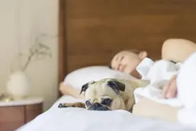想要读懂男人的弦外之音？今天给大家指一条捷径：连接情绪图片