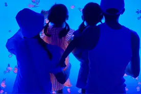 张杰谢娜庆9周年，一家四口逛海洋馆，双胞胎梳双马尾穿公主裙图片
