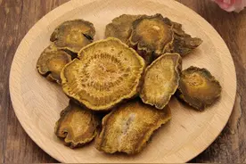 「中药宝库」大黄图片