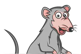 两只老鼠的故事，一只在厕所一只在粮仓，结果为什么会不一样图片