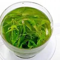 苦丁茶有什么功效(发酵小叶苦丁茶的效果)