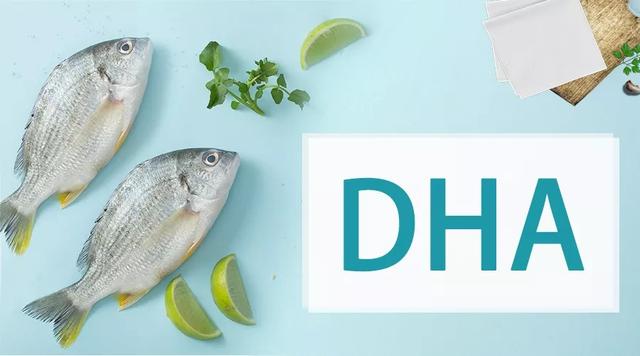 DHA琛ヤ笌涓嶈ˉ锛屾櫤鍔涖€佽鍔涖€佽瑷€鏂归潰鐨勫樊鍒珶杩欎箞澶э紵