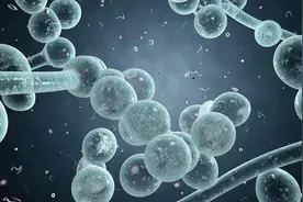 宠物皮肤病总是赖着不走？那是因为药物没选对图片