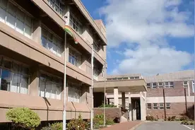 津巴黄金开采商的喜讯：政府以100%美元收购黄金图片