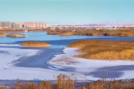 小白河的昨天和今天图片