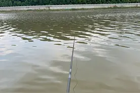 第一次去澡堂经历图片