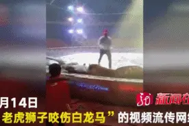 惊悚！齐齐哈尔马戏团老虎饿得要吃马？官方回应了图片