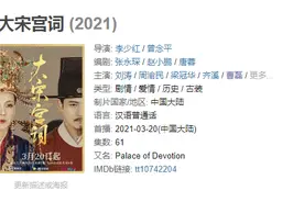 《大宋宫词》和《大明宫词》之间，差了100个李少红版《红楼梦》？图片