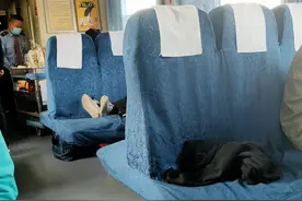 你永远不知道意外和惊喜哪个先到，未来可期又充满悲伤图片