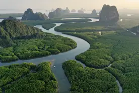 世界上最大的蛇，为何都扎堆在热带雨林之中？这不是巧合图片
