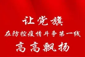 苏家屯区 · 奋力前行2020（上篇）图片