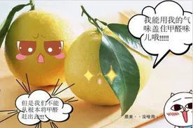 甲醛是一级致癌物！我来告诉你哪些日用品会存在！图片