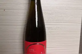 酒鬼妹夫（贪酒实录一）图片