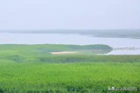 东营唯一的5A级景区，门票只要60块，为什么游客还是觉得不值？图片