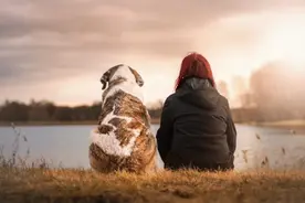世界狂犬病日 | 只有狗会传染狂犬病吗？这些动物也能传染狂犬病图片
