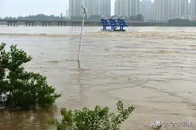 六安：淠河橡胶坝降坝泄洪战洪峰，市民岸边看大水，网友很感慨图片