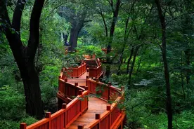 京城十一去哪玩？去顺义赏田园风光！图片