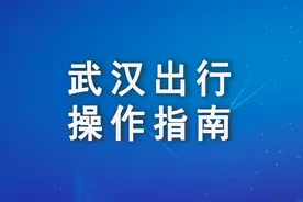 武汉出行最全操作指南图片