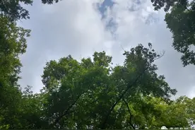 我们的蔡校长图片