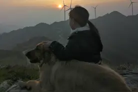 夕阳西下，落日余晖。图片