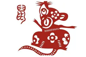 “鼠年话鼠”：谁说老鼠都是负面形象？图片