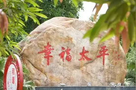 一把手访谈｜太平镇党委书记陆泽均：开辟“西拓”主战场，打造清远西部产业新城图片