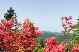 浙江磐安高姥山赏花骑行(自驾)路线规划图片