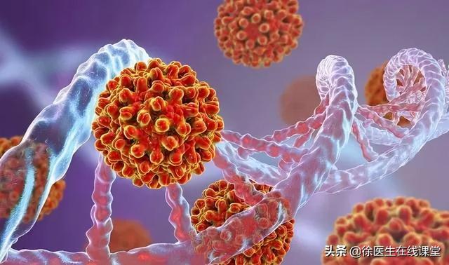 乙肝病毒携带者可以高枕无忧过日子？