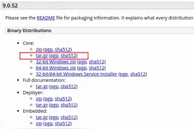 玩转Apache Tomcat图片
