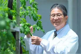 曾培养3位中国院士，日本教授加入中国高校！科学界掀起赴华浪潮图片