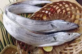 带鱼面的银粉能吃吗？很多人不知道，看完后就放心了图片