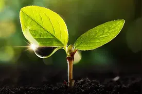 邹军：刀具半径补偿G41G42怎么用？图片