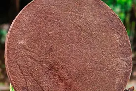 天然护发品一一茶麸图片