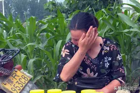 河南南阳：52岁姥姥卖蜂蜜救早产龙凤胎外孙图片
