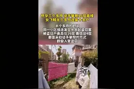 半个多月连偷十余户！42岁怀孕女子徒手爬楼翻窗入室盗窃，最高爬到16楼图片