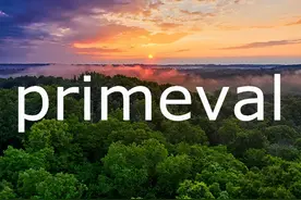 每日单词：primeval图片