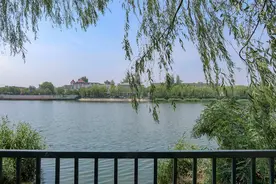 惊喜！海淀山后这条大河，“活”起来了！图片