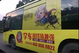 网红驾校“猪兼强”倒闭始末：从收款10秒到退费10个月图片
